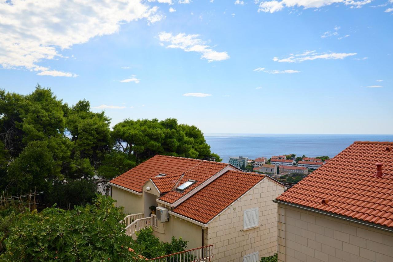 Hedera Estate Hedera Studio 1 Dubrovnik Exterior photo